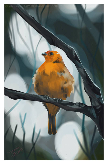 Birdie
