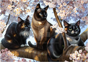 Puffy, Zuki & Zippy
