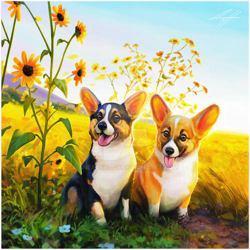 Teddy & Max